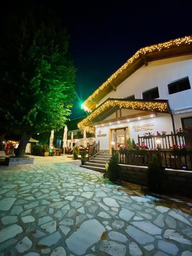 Edelweiss Central Hotel バンスコ エクステリア 写真