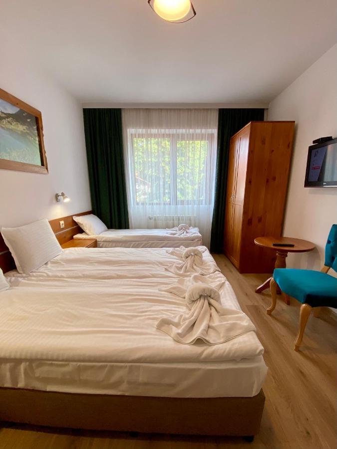 Edelweiss Central Hotel バンスコ エクステリア 写真