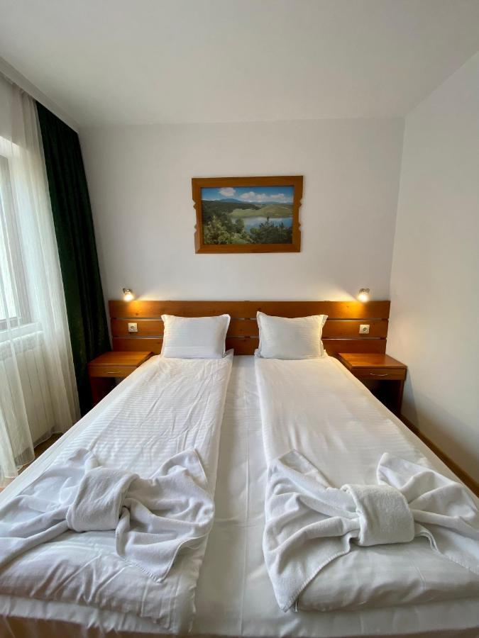Edelweiss Central Hotel バンスコ エクステリア 写真